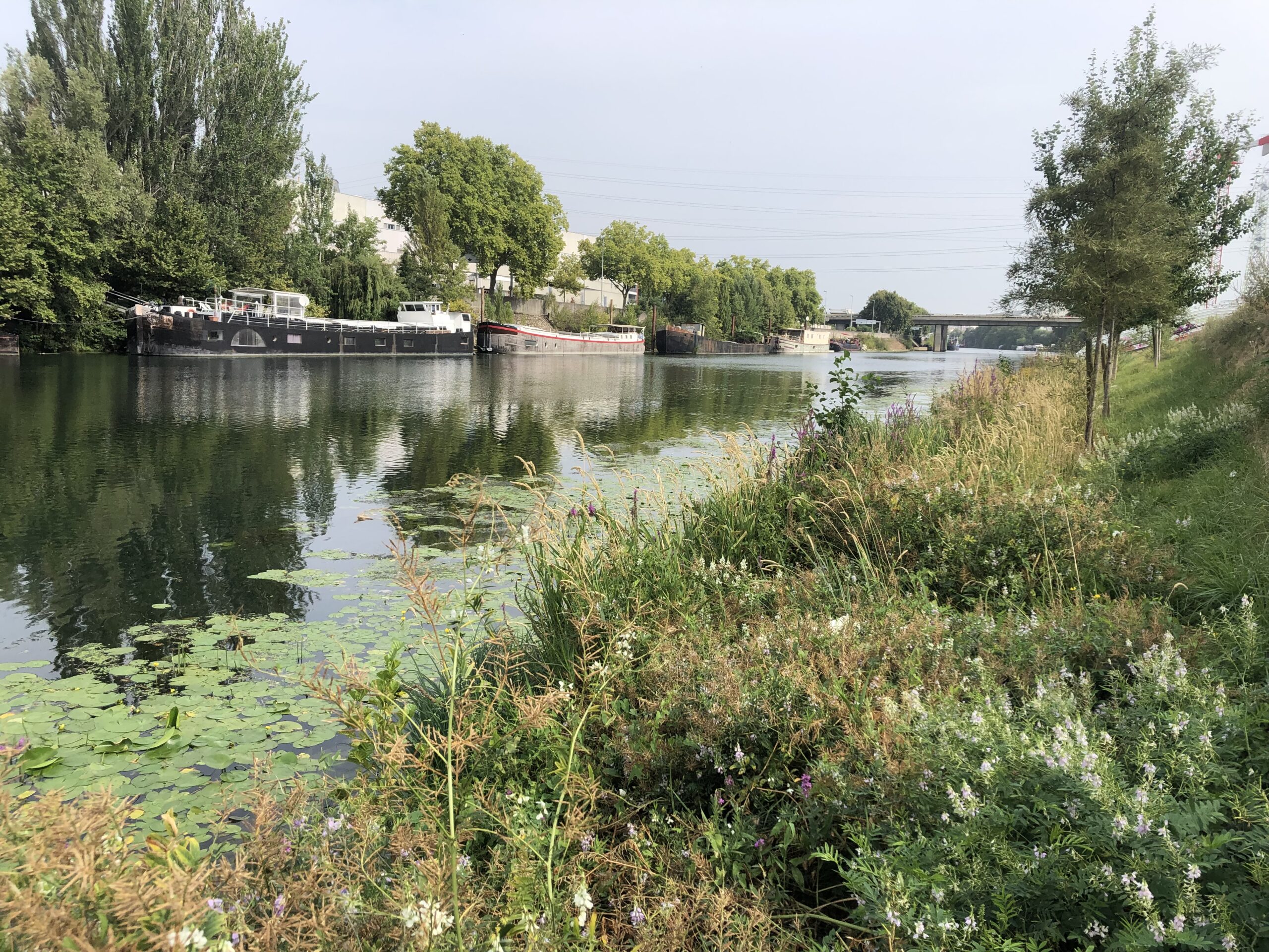Ma ville L’ile Saint Denis